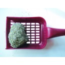 Arena aglomerante Golden Grey para gatos con alta absorción y bajo polvo.