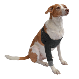 Vetlando Protector patas...