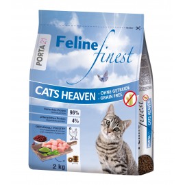 Porta 21 Feline Finest Cats...