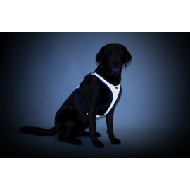 Curli BELKA arnés GLOW C...