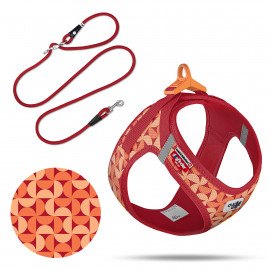 Curli Arnés CLASP LE26...