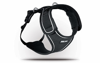 arnes para perros