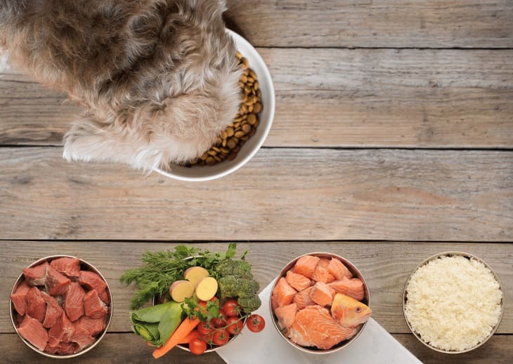 Pienso natural para perros