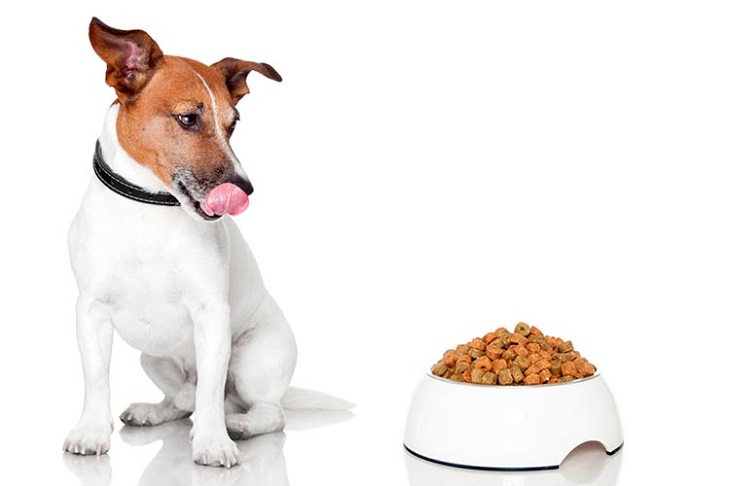 Pienso para perros directo de fábrica