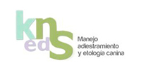 kns kns
