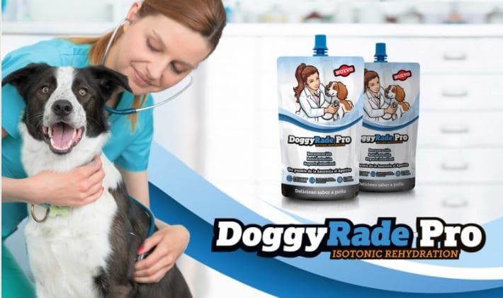 doggyrade pro bebida isotonica