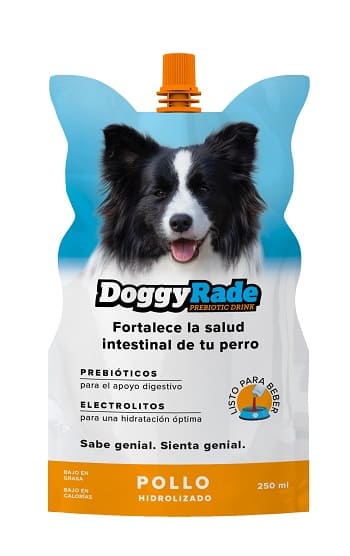 doggy-rade-pollo