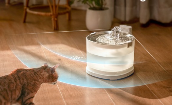 Cómo elegir una fuente para gatos