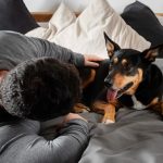 Qué hacer si tu perro tiene ansiedad por separación